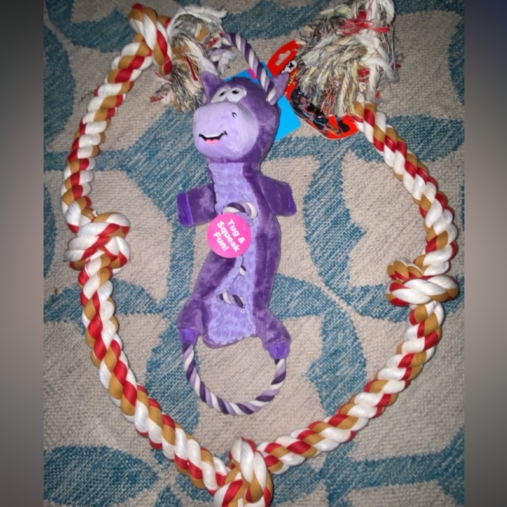 Purple Dinosaur Rope Toy for Kids